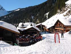 flaine forum