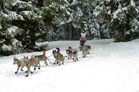 Muscher et attelage en sou-bois, Haute-Savoie