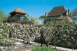 Jardin des Cinq Sens