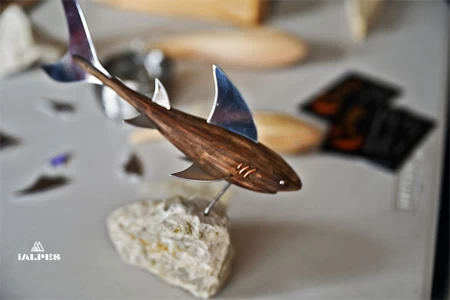 CG Création, le requin terminé