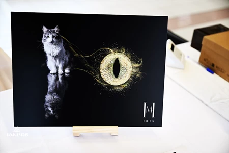 Yvoire la Porte de Thonon