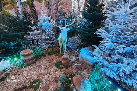 Thonon, marché de Noël et la foret enchantée