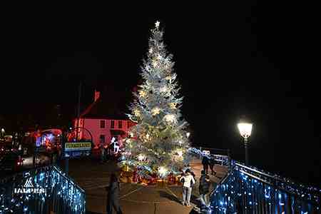 Thonon, sapin du marché de Noël.