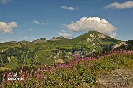 Activités hiver en montagne