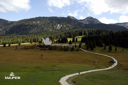 Plateau des Glières, chemin des résistants