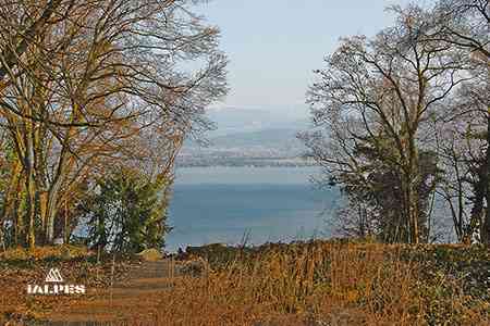 Parc de Rovorée à Yvoire, Haute-Savoie