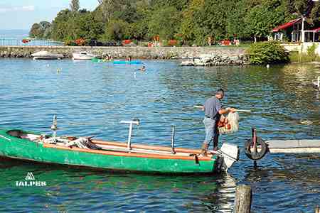 Pècheur du lac Léman, Haute-Savoie