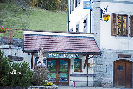Musée de la Faune et Jardin alpin de Bellevaux