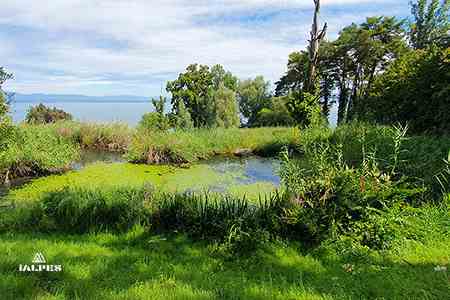 Jardin de l'eau du Prés Curieux, Evian