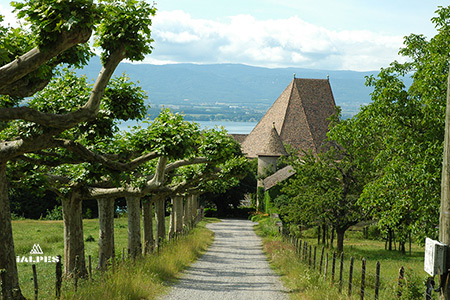 Jardin du château de Beauregard, Chens-sur-Léman