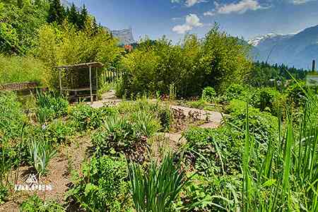 Jardin des Cimes, Passy