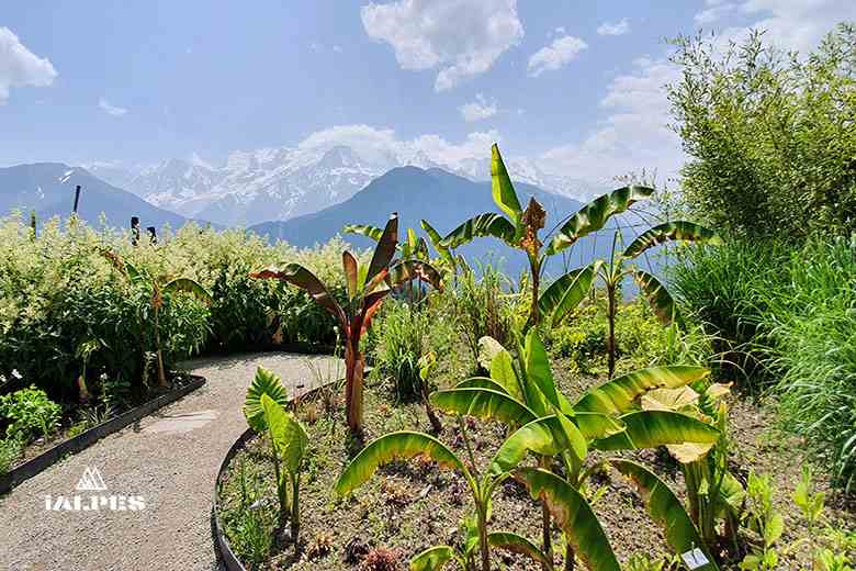 Le Jardin des Cimes, Haute-Savoie