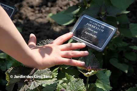 Jardin sensoriel, Yvoire