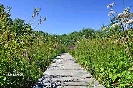 Vallon de Bérard à Vallorcine, Haute-Savoie