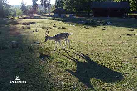 Cruseilles parc des Dronières