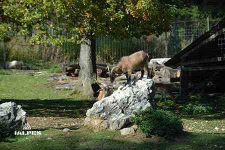 Cruseilles parc des Dronières