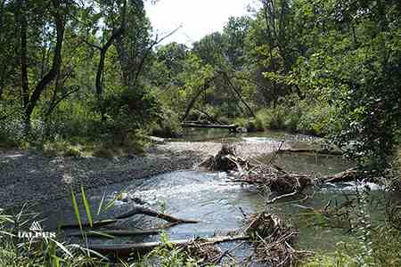 Jardin des Cinq Sens à Yvoire, Haute-Savoie