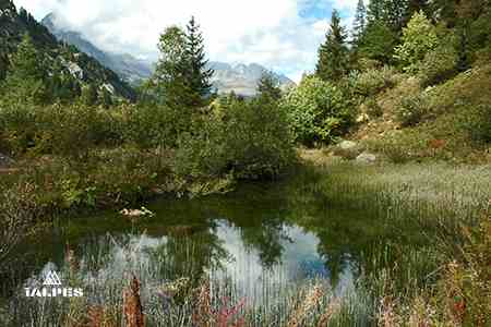 Vallorcine, Jardin alpin des Montets