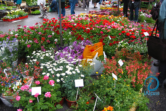 Marché aux fleurs, haute-Savoie