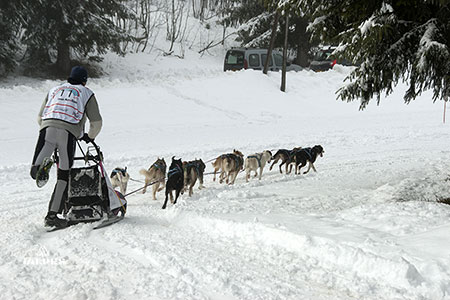 Attellage sur la piste